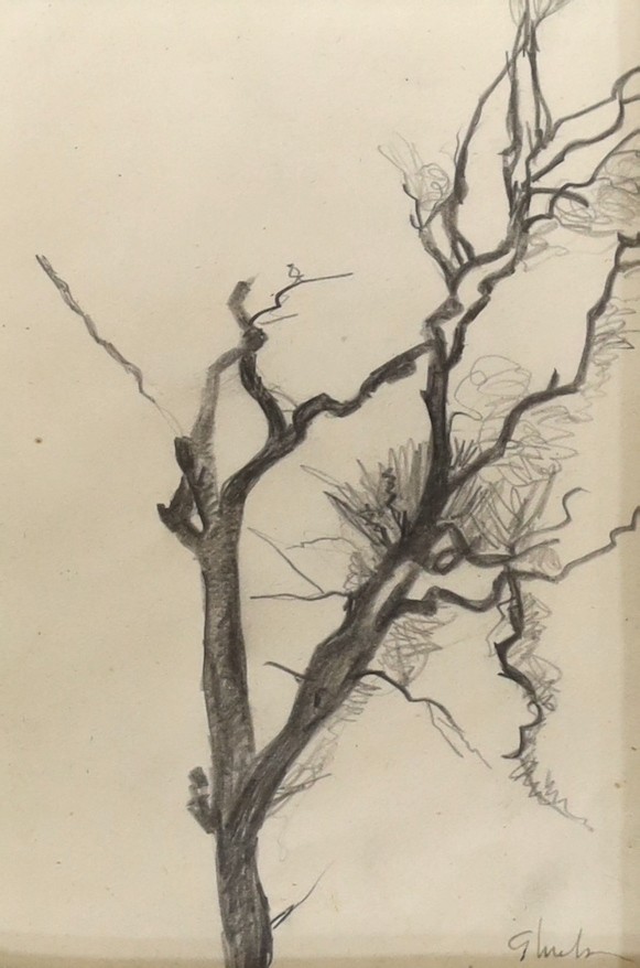 Gluck (Hannah Gluckstein) (1895-1978), pencil on paper, Study of a branch, signed, Fine Art Society label verso, 13 x 9cm